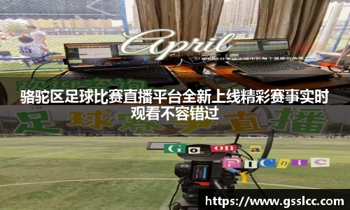 伟德bv国际体育